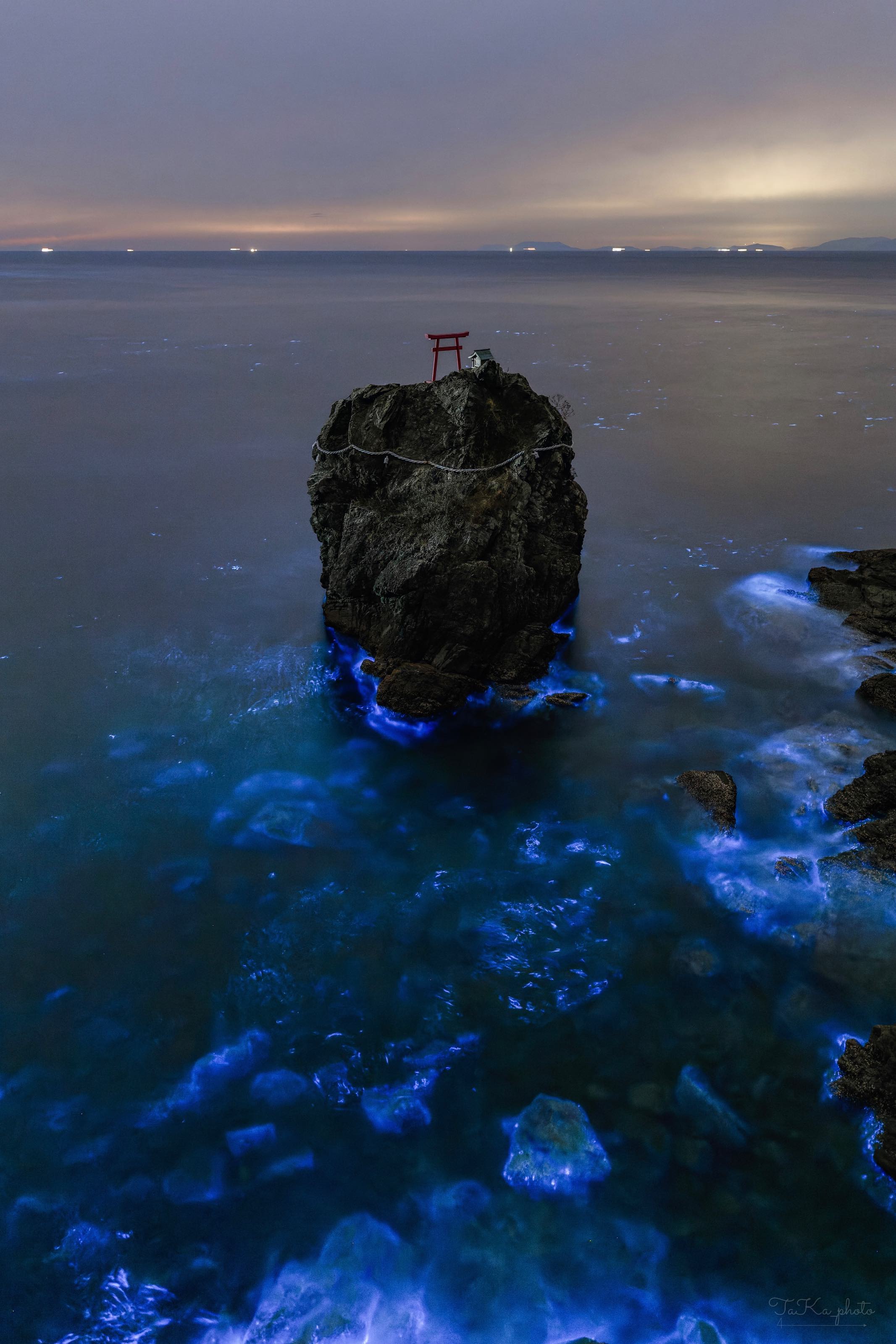愛媛県の綱掛岩と青く光る海面